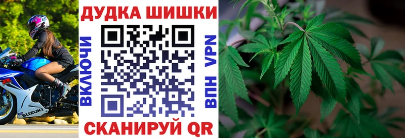 Каннабис сатива  дарк нет состав  Мичуринск  дарнет шоп 